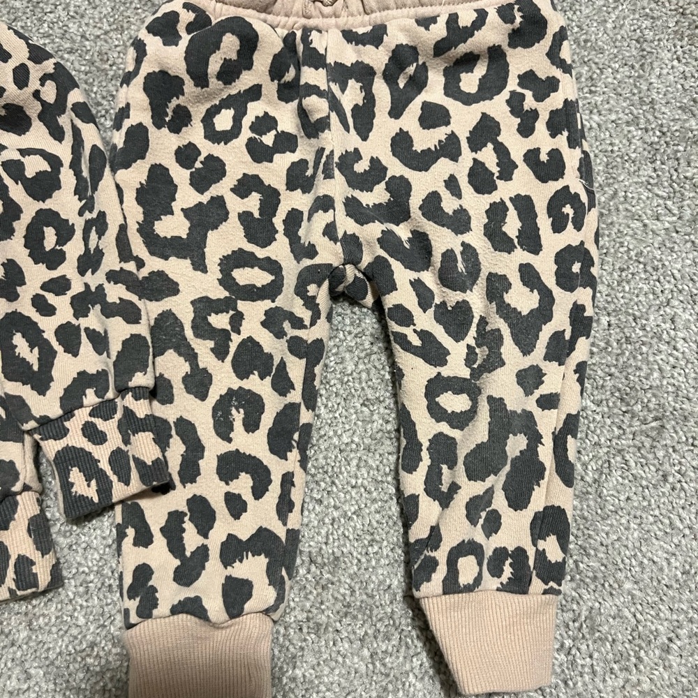 12 Month Leopard Set - Picture 3 of 4